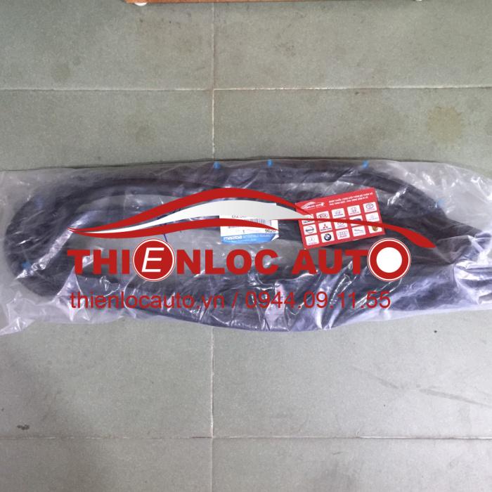 RON CÁNH CỬA PHỤ FORD LASER