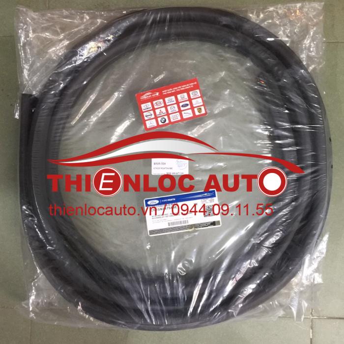 RON KHUNG CỬA SAU FORD ECOSPORT