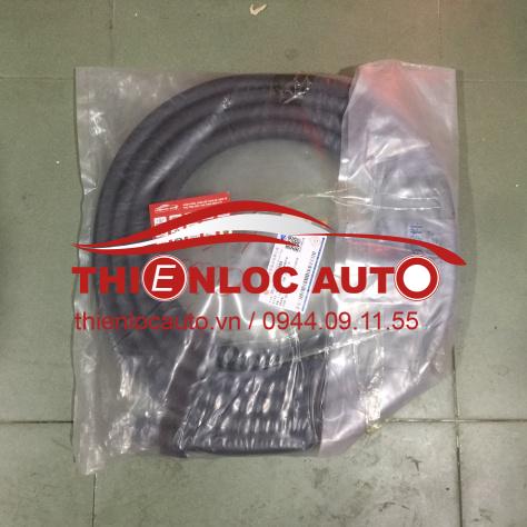 GIOĂNG KHUNG CỬA CỐP FORD TRANSIT
