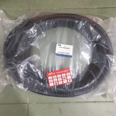 GIOĂNG KHUNG CỬA FORD EVEREST