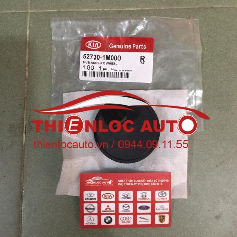 NẮP CẢM BIẾN ABS HYUNDAI ACCENT