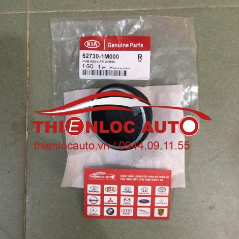 NẮP CẢM BIẾN ABS HYUNDAI ACCENT